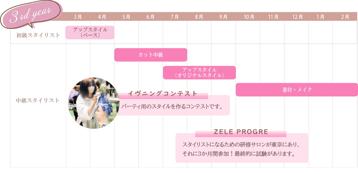 3年目